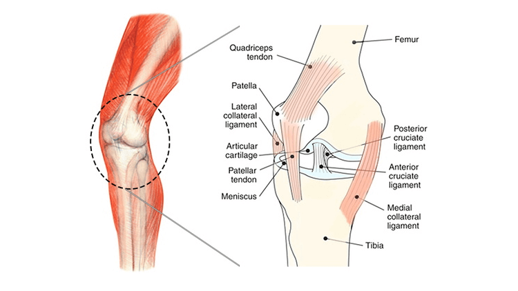 Hip-and-Knee-Arthritis